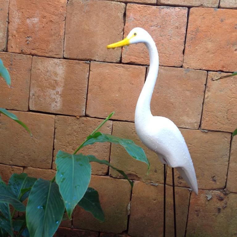 Jardim Secreto Villa Morro de São Paulo Eksteriør billede